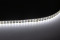 Светодиодная лента 24В 2835(240LED) IP20 19,2Вт 6000К 5м СириусА